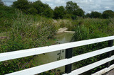 P1020875 Disused canal